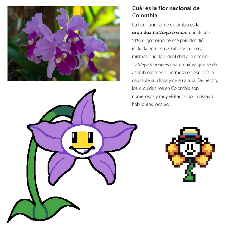 origen_esp.jpg origen_esp.jpg