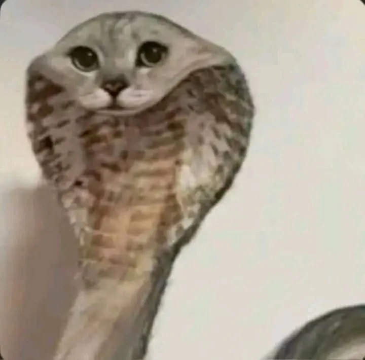 1000021037.jpg 1000021037.jpg