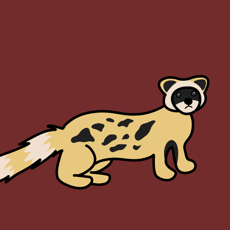 export1760817301190.png export1760817301190.png