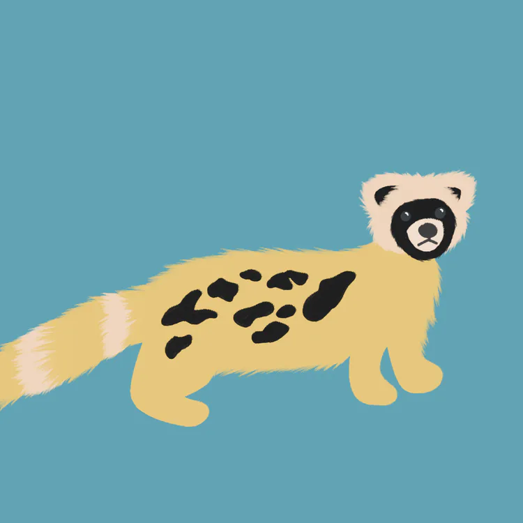 export1760793193108.png export1760793193108.png