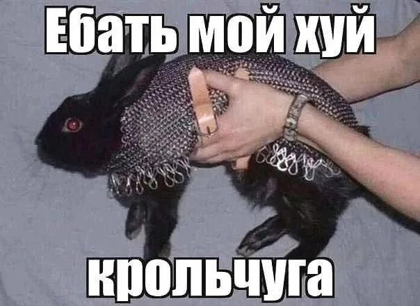14a416a43340cc65e777196b71ae6a31.jpg