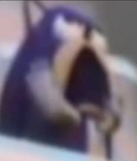 2fefb0d05ccedd4c4f1cf38dfcccc4ce_exif.jpg 2fefb0d05ccedd4c4f1cf38dfcccc4ce_exif.jpg