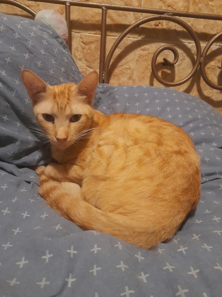 2d759c57-6222-407f-b260-be1152545a98.jpg 2d759c57-6222-407f-b260-be1152545a98.jpg