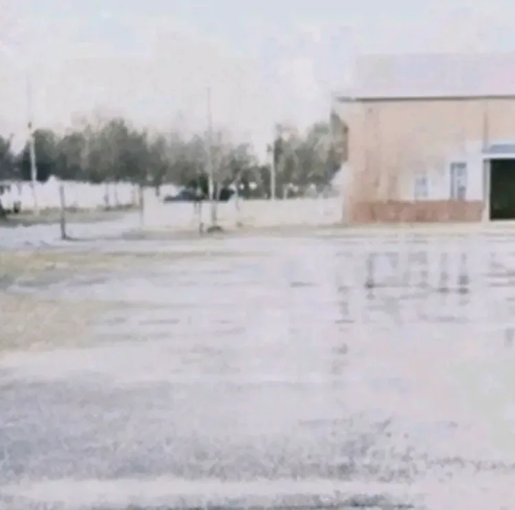 45938654-tjfa8zsq-v4.webp 45938654-tjfa8zsq-v4.webp