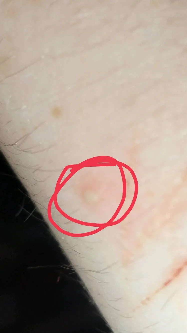 5c733365-54b5-4cd2-80df-8071a27cb94a.jpg 5c733365-54b5-4cd2-80df-8071a27cb94a.jpg