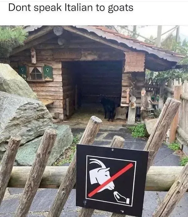 fb_img_1760659533479.jpg fb_img_1760659533479.jpg