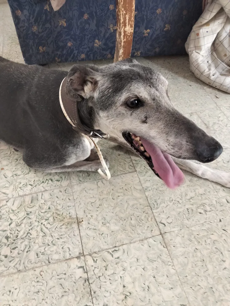 coco_real.jpg coco_real.jpg