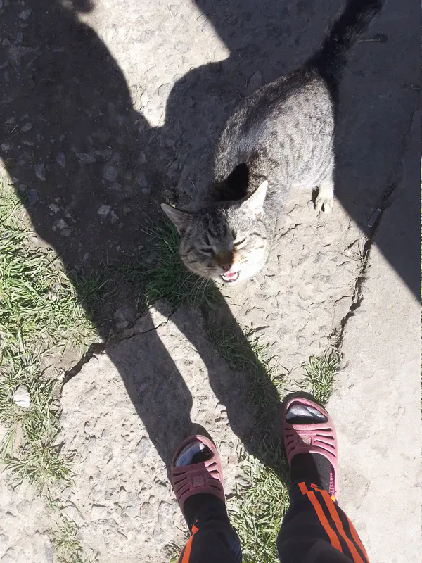 41098224-c2ajygja-v4.webp 41098224-c2ajygja-v4.webp