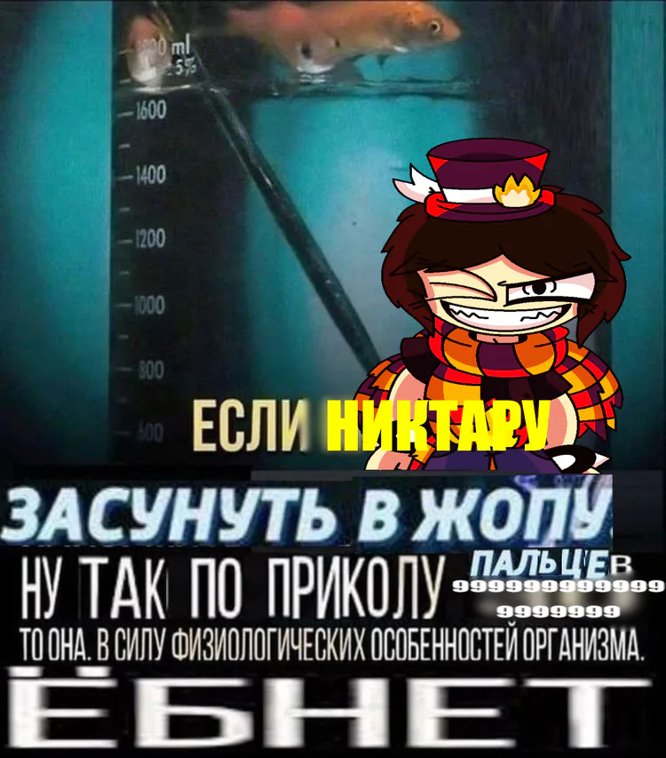 _271_20251101120720.png _271_20251101120720.png