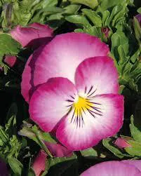 img_7645.jpg img_7645.jpg