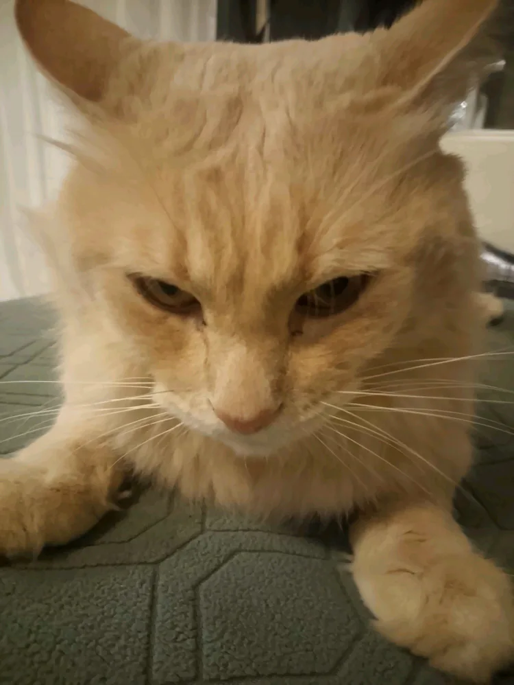 2cb971f9-d8e7-41a6-a1d0-9aff4778cd84.jpg 2cb971f9-d8e7-41a6-a1d0-9aff4778cd84.jpg