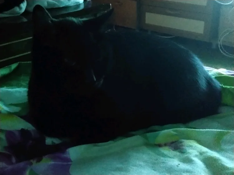 721ec3cd-bb2e-42bf-b04e-667c8a885ff4.jpg 721ec3cd-bb2e-42bf-b04e-667c8a885ff4.jpg