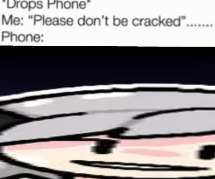 photo_2025-11-02_13-23-44.jpg photo_2025-11-02_13-23-44.jpg