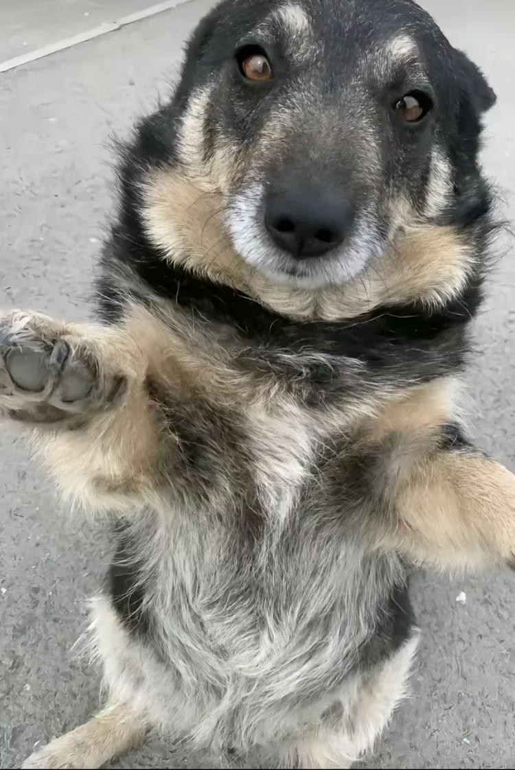 img_0823.jpg img_0823.jpg