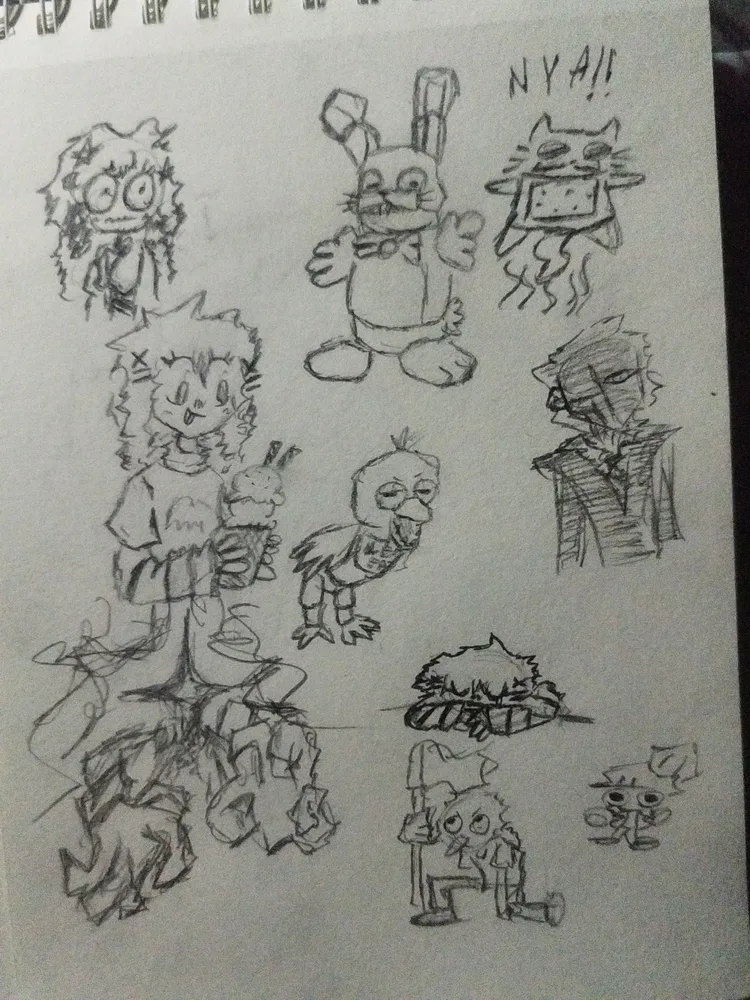 img_20251116_214035.jpg img_20251116_214035.jpg