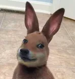 956030693178245130.png 956030693178245130.png