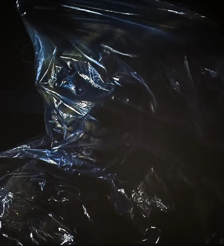 20251205_225459.jpg 20251205_225459.jpg