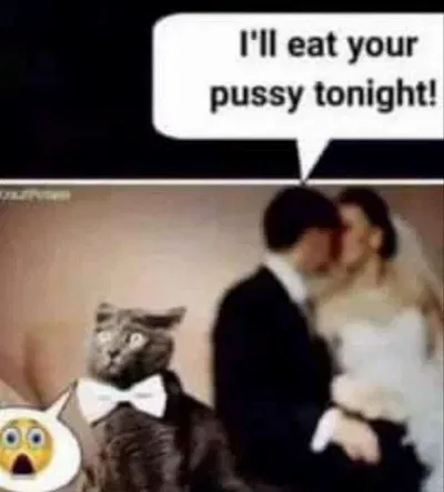 pgzp8crpfk3kblgm5rkyc.webp pgzp8crpfk3kblgm5rkyc.webp