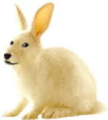 20251203_191357.jpg 20251203_191357.jpg