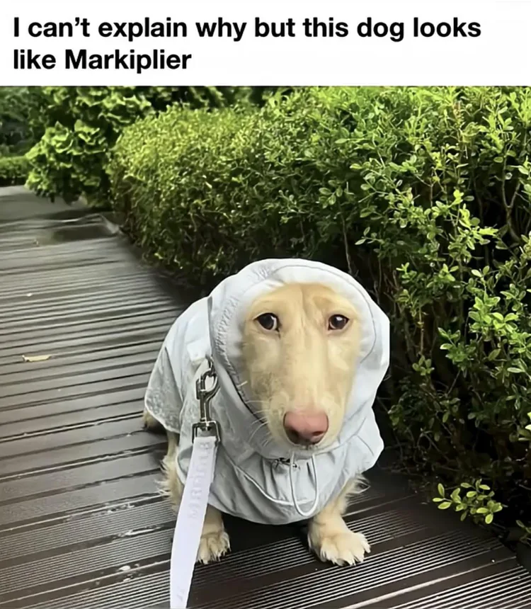 20251204_100542.jpg 20251204_100542.jpg