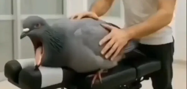 screenshot_20251128-011155.jpg screenshot_20251128-011155.jpg