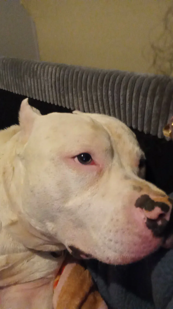 img_20251205_181818_921.webp img_20251205_181818_921.webp