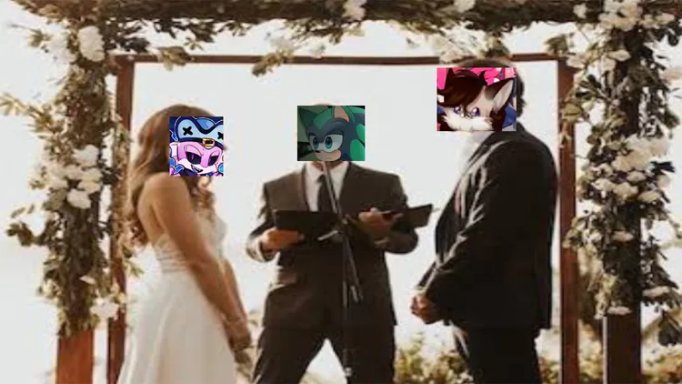 untitled77_20251211191703.jpg untitled77_20251211191703.jpg