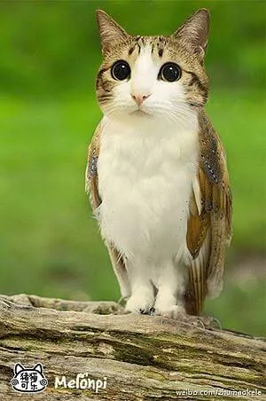 images_42.jpg images_42.jpg