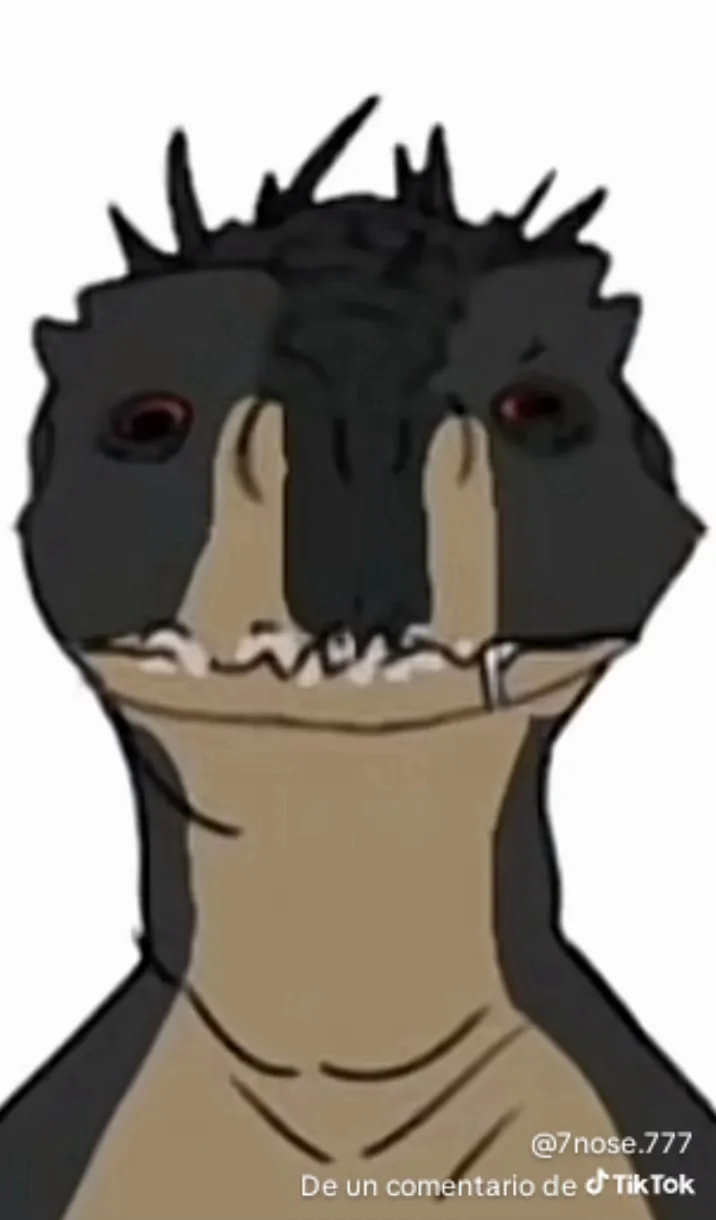 1766252781388.jpg 1766252781388.jpg