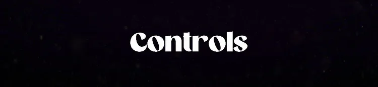 controls.jpg