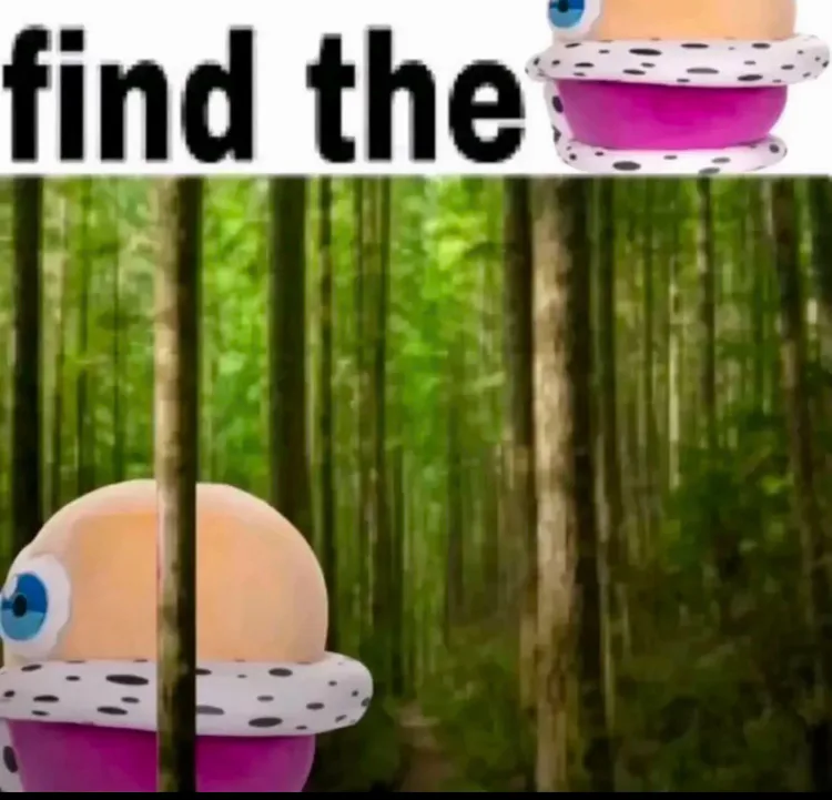 182aa6f8d06468c215940fd0ab01c415_exif.jpg 182aa6f8d06468c215940fd0ab01c415_exif.jpg