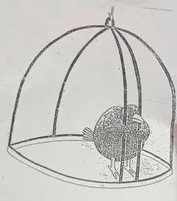 rdt_20260108_1804034063662274191426291-2.jpg rdt_20260108_1804034063662274191426291-2.jpg