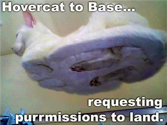 hovercat1.jpg