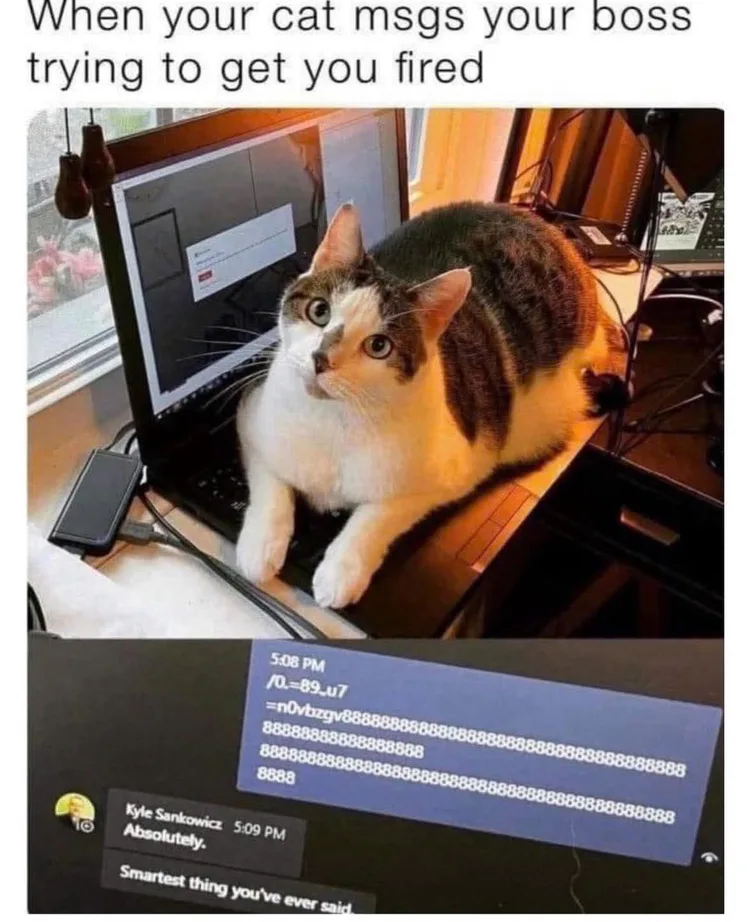 fb_img_1764854684185.jpg fb_img_1764854684185.jpg