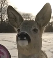 screenshot_2025-07-19_120206.png screenshot_2025-07-19_120206.png