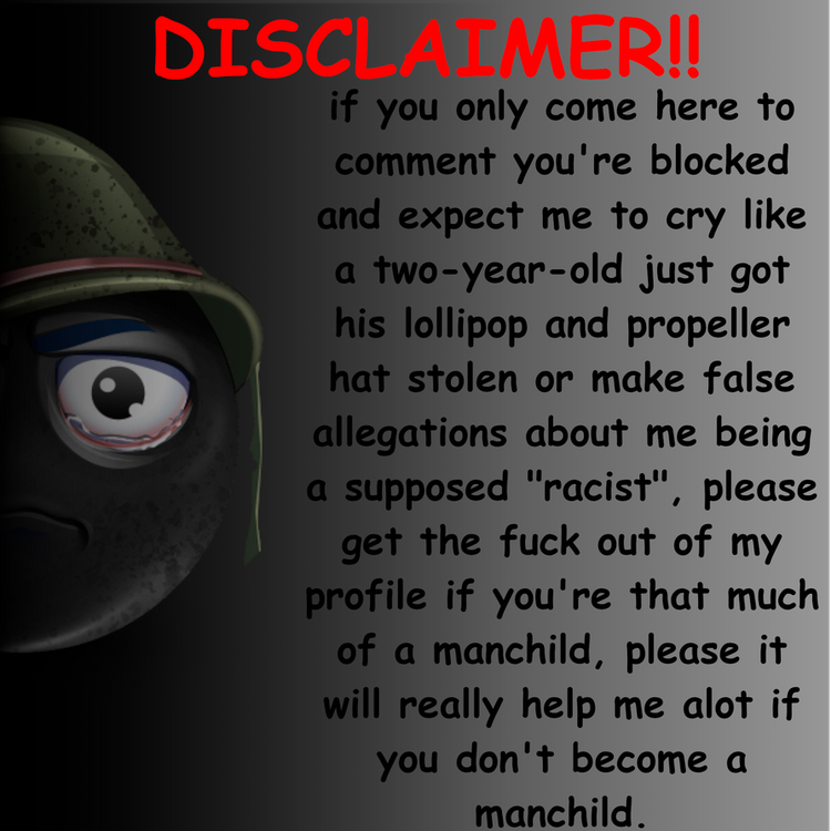 disclaimer__possibly_v2__by_20thwab_dkjeisr-pre.png