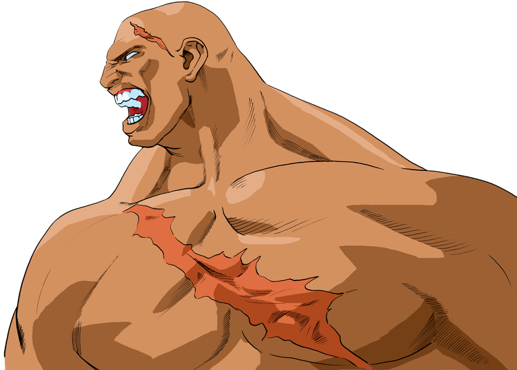 sfa3_sagat_art.png
