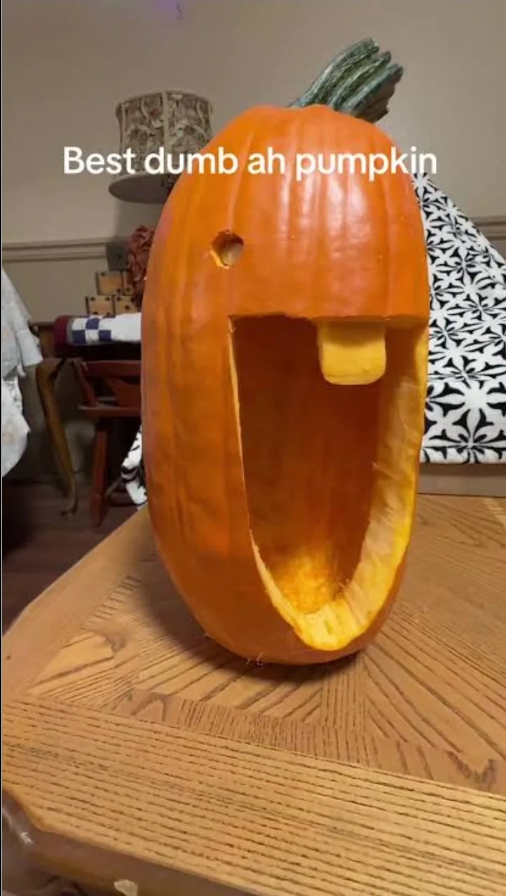 screenshot_20260124_025623_google.jpg screenshot_20260124_025623_google.jpg