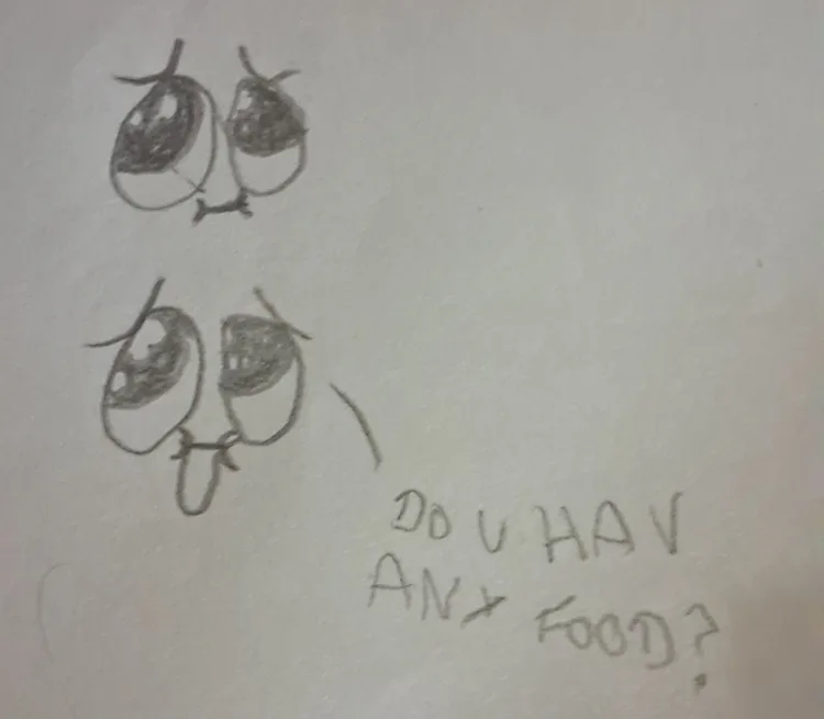 20260201_0132201.jpg 20260201_0132201.jpg