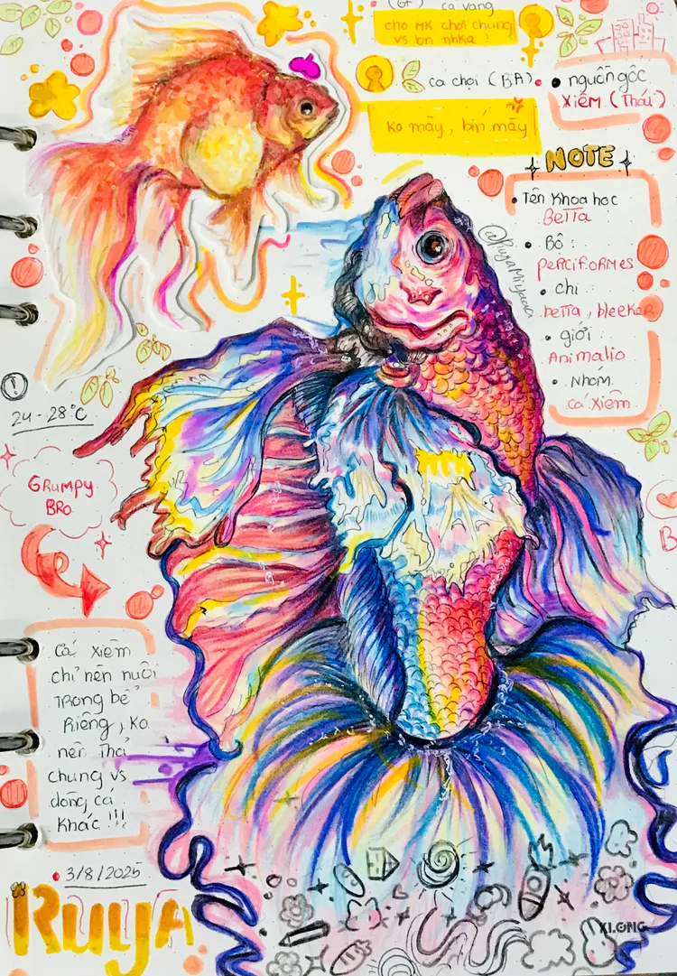 8ac6bf95-6695-41b4-ad20-7bc01d1d9ae9-kq4j5tvr.jpg 8ac6bf95-6695-41b4-ad20-7bc01d1d9ae9-kq4j5tvr.jpg