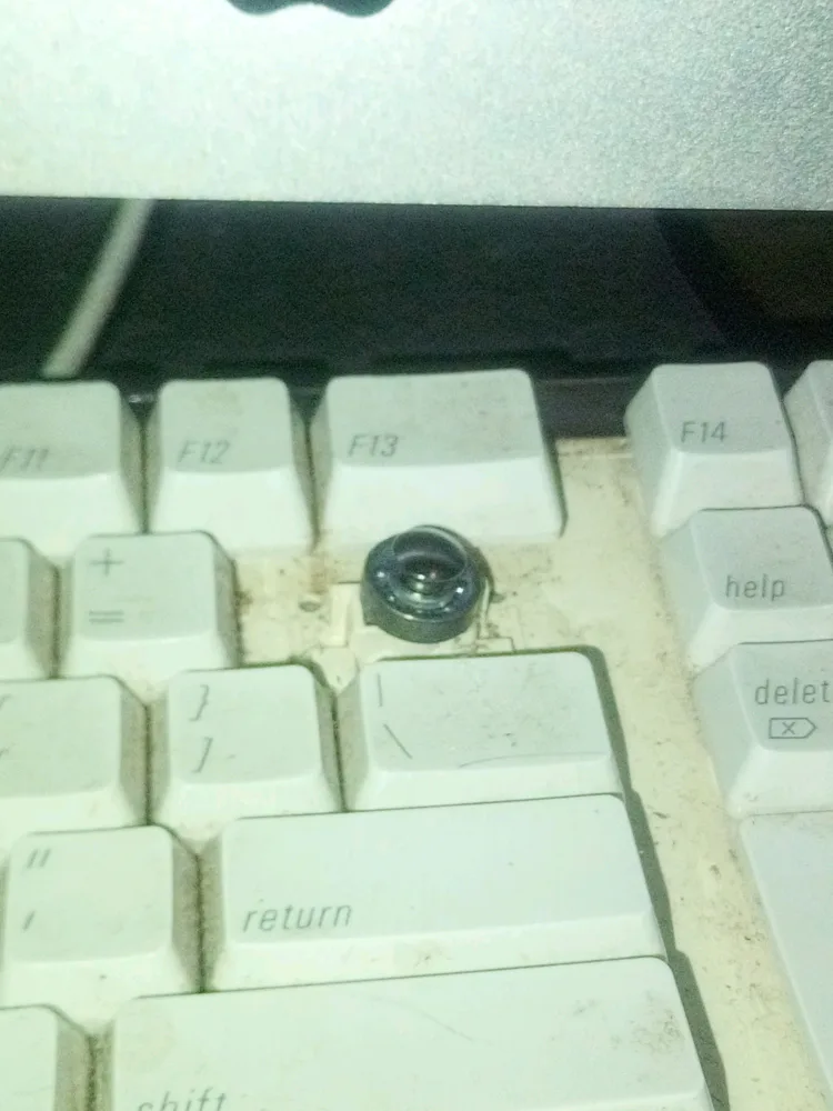 9692b6e6-f74d-452c-9ed1-199eb7ce75e4.jpg 9692b6e6-f74d-452c-9ed1-199eb7ce75e4.jpg