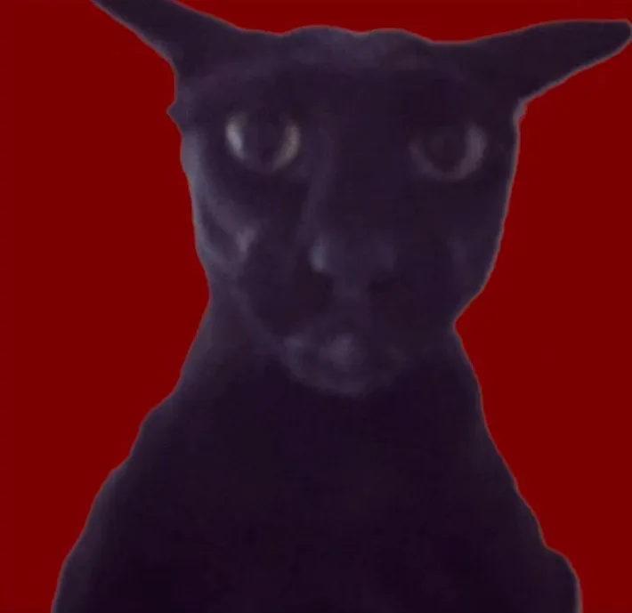 0f28ed83ac64c5ae7e49d5b2b4729dc8_exif.jpg 0f28ed83ac64c5ae7e49d5b2b4729dc8_exif.jpg