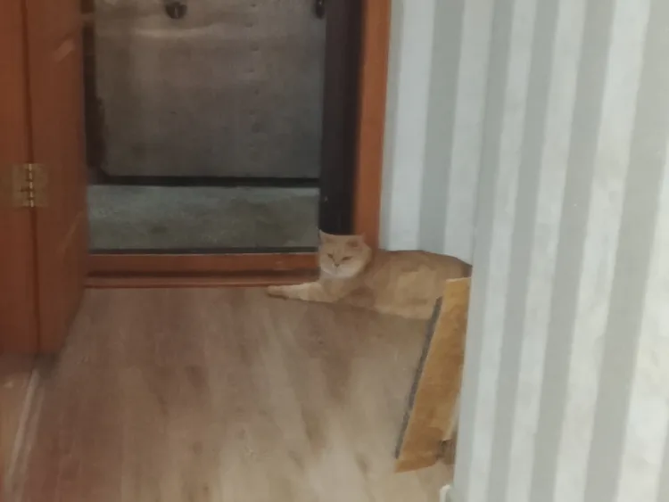 img_20260305_224519.jpg img_20260305_224519.jpg