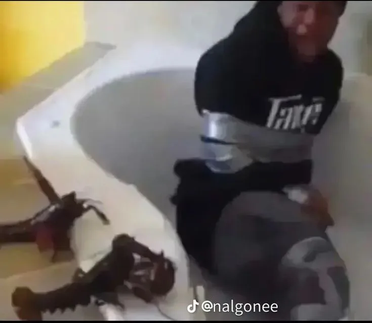 d68d5de50dfebca702fc1d6ba5d3af29.jpg d68d5de50dfebca702fc1d6ba5d3af29.jpg