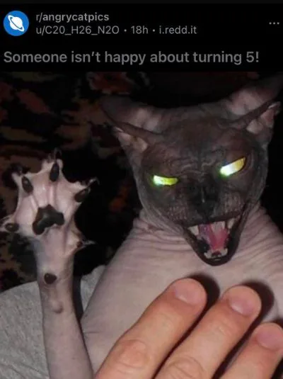 8b5c7e7c60e3597df4d9c2edf43d4af6.jpg 8b5c7e7c60e3597df4d9c2edf43d4af6.jpg