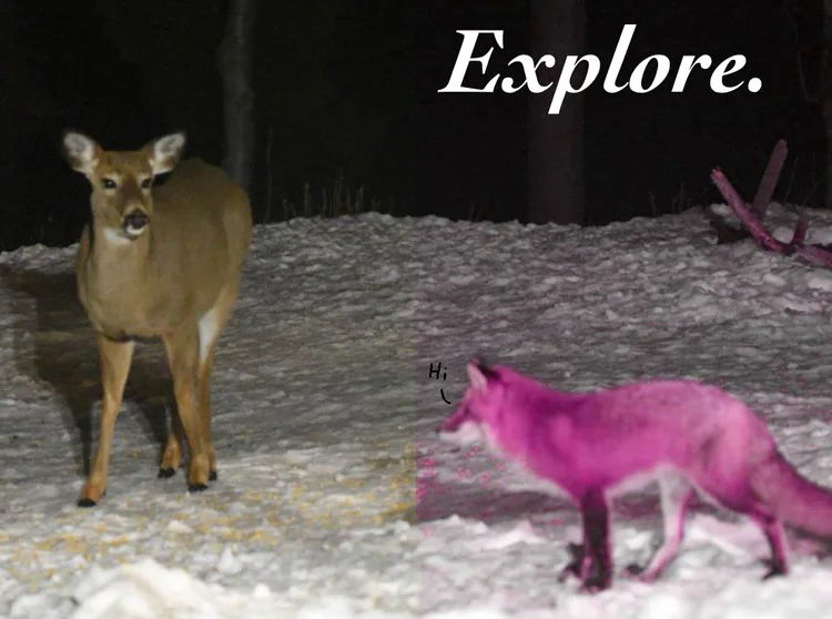 ef561b70-1021-4c9c-8264-362b89621b6b.png ef561b70-1021-4c9c-8264-362b89621b6b.png