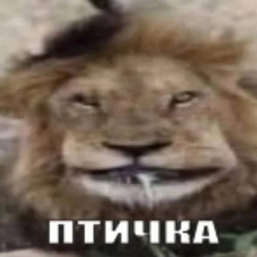 6a3f2766464283dd0a191bcb13bf1ec9.jpg 6a3f2766464283dd0a191bcb13bf1ec9.jpg