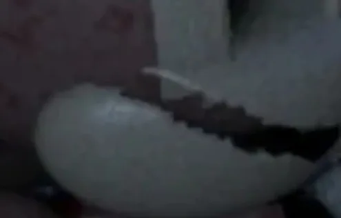 20260405_001847.jpg 20260405_001847.jpg