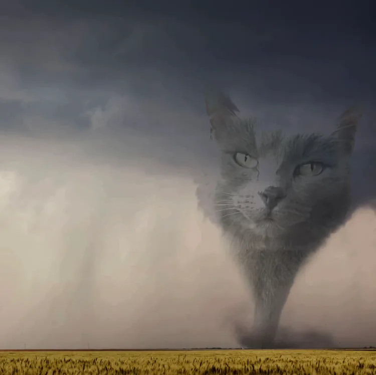 5f0df6432c930a0651588bc1b7148667_exif.jpg 5f0df6432c930a0651588bc1b7148667_exif.jpg