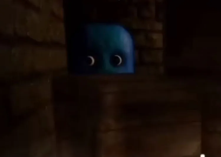 img_6625.jpg img_6625.jpg